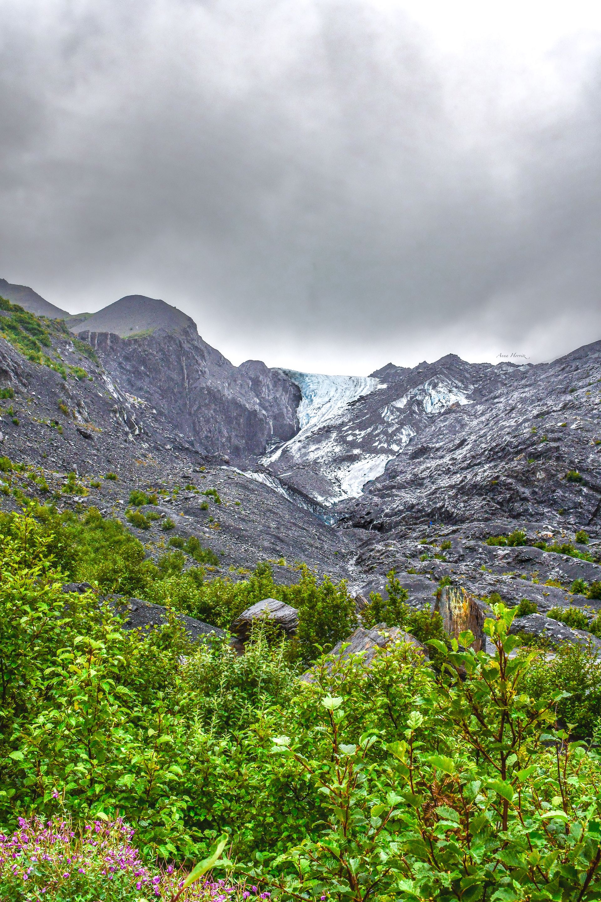 DSC_3872.JPG