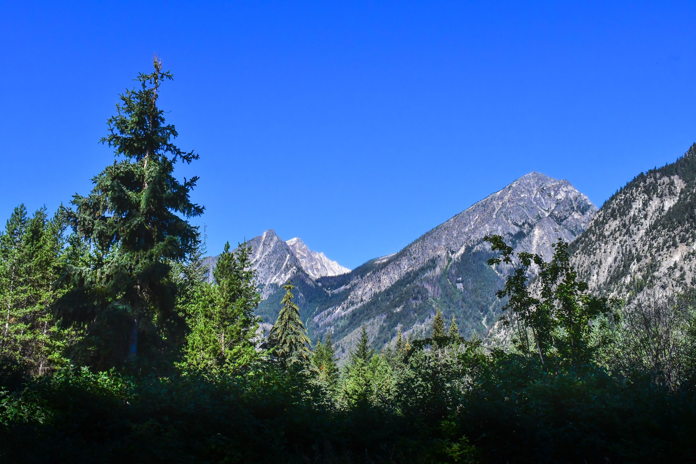 DSC_2208.JPG