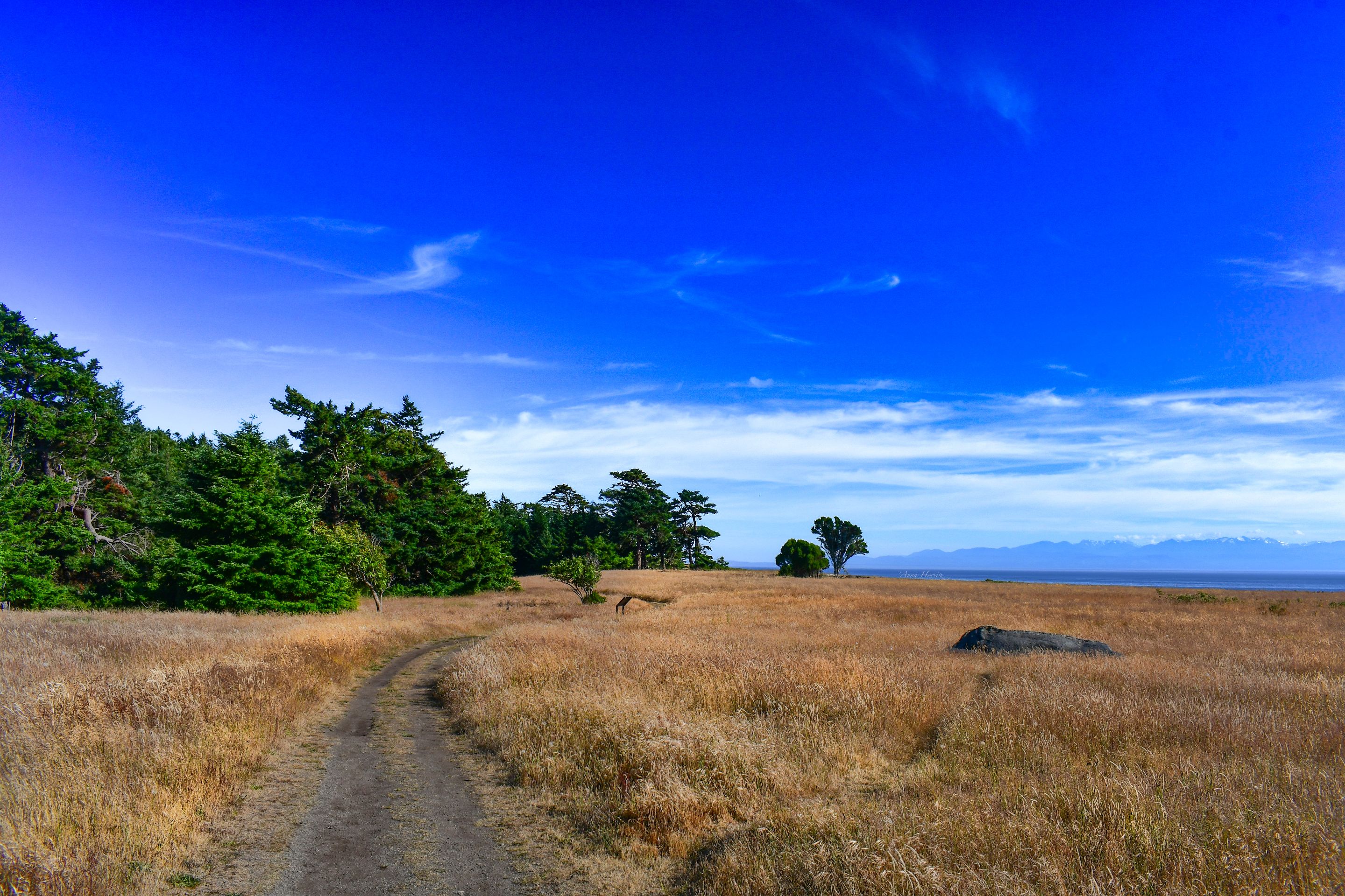 DSC_1123.JPG
