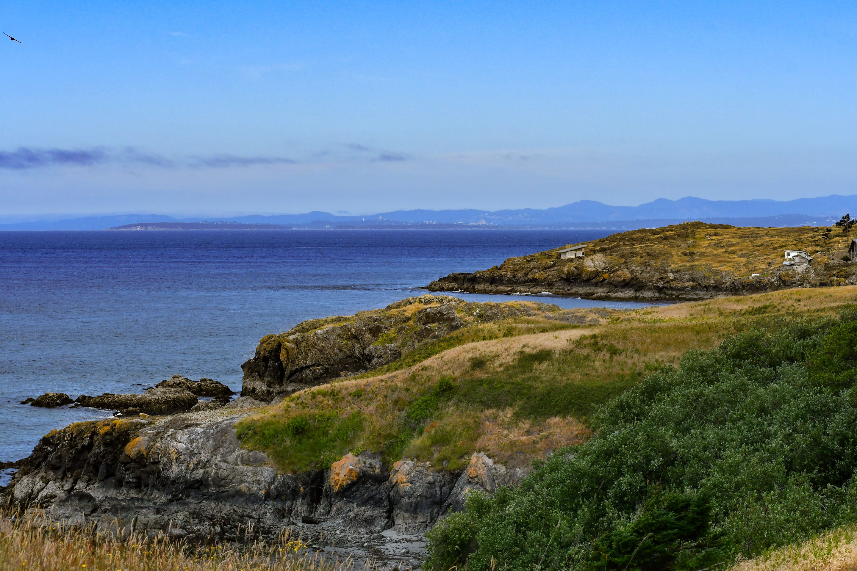 DSC_8862.JPG