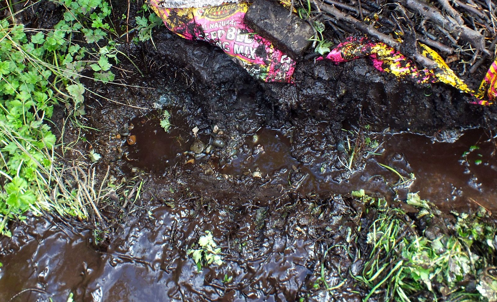CT0354-MudPies7.jpg