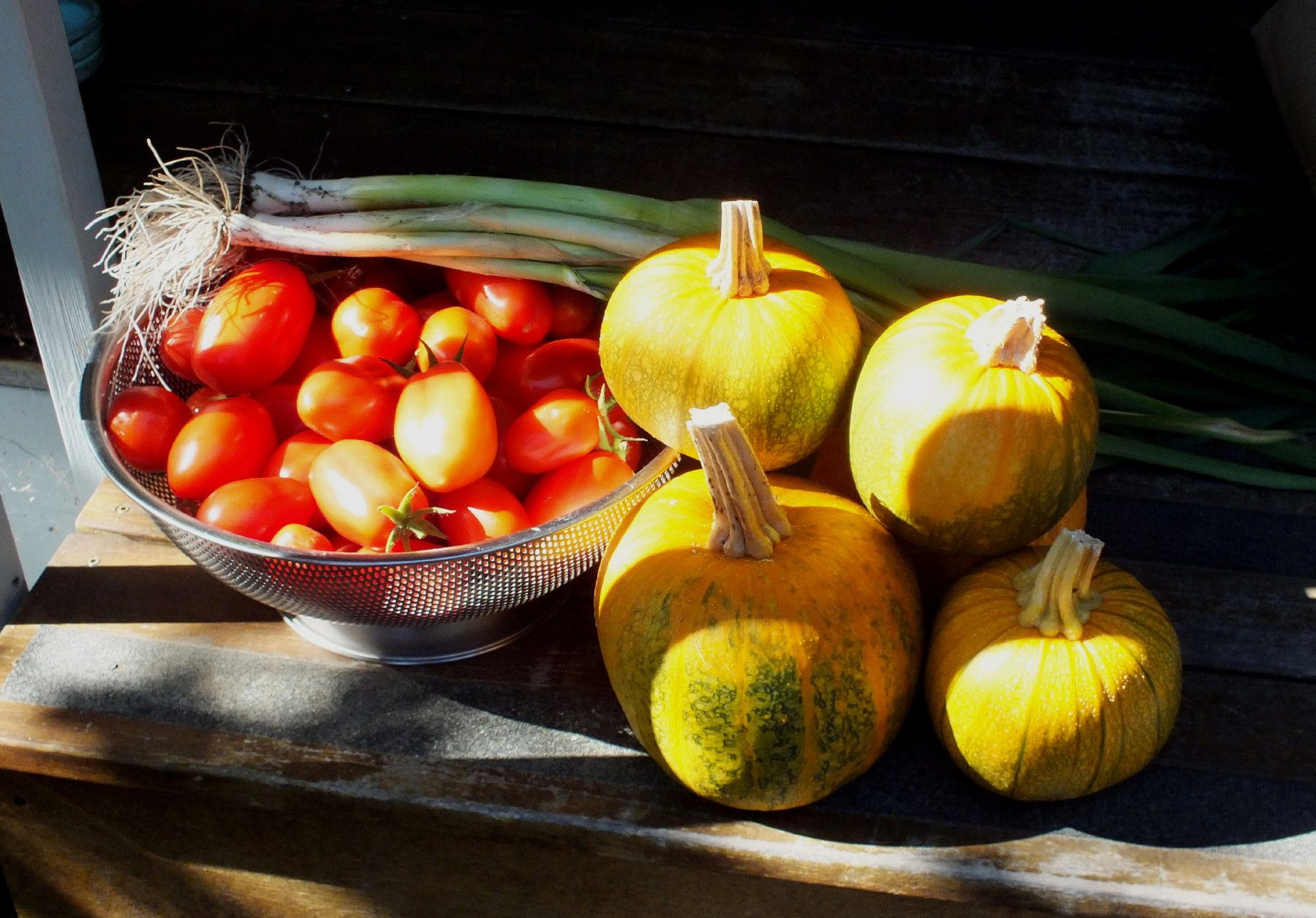 CT0356-AutumnHarvest.jpg