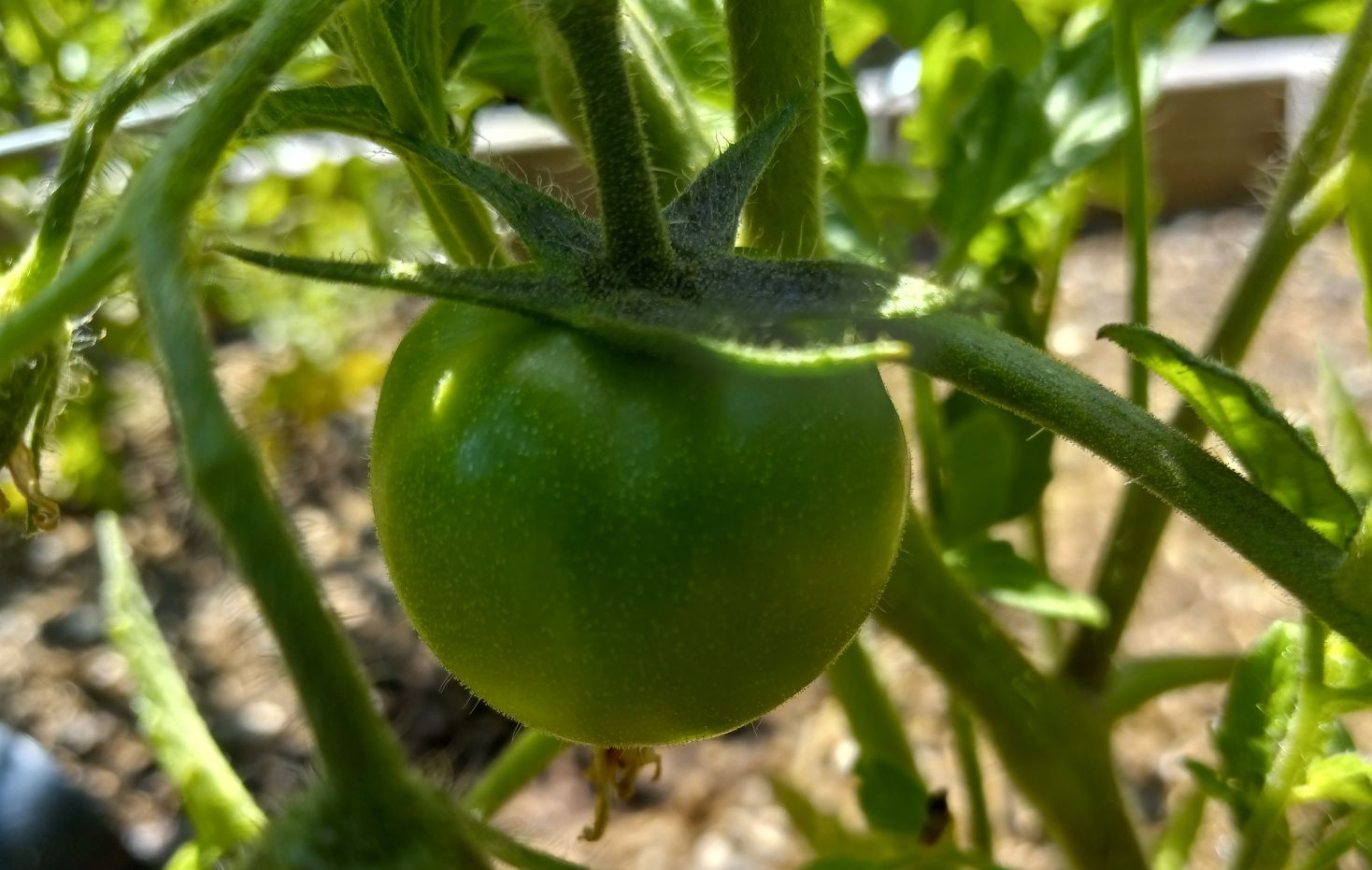 20230703_194042.jpg