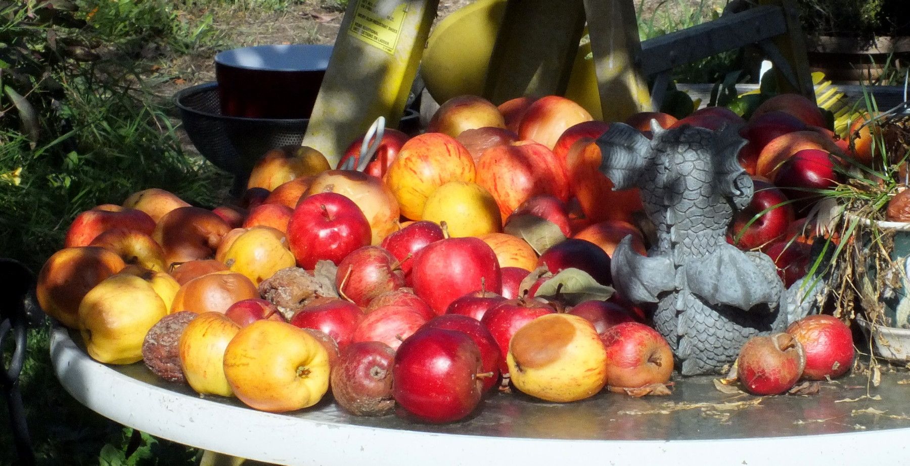 CT0356-Apples.jpg