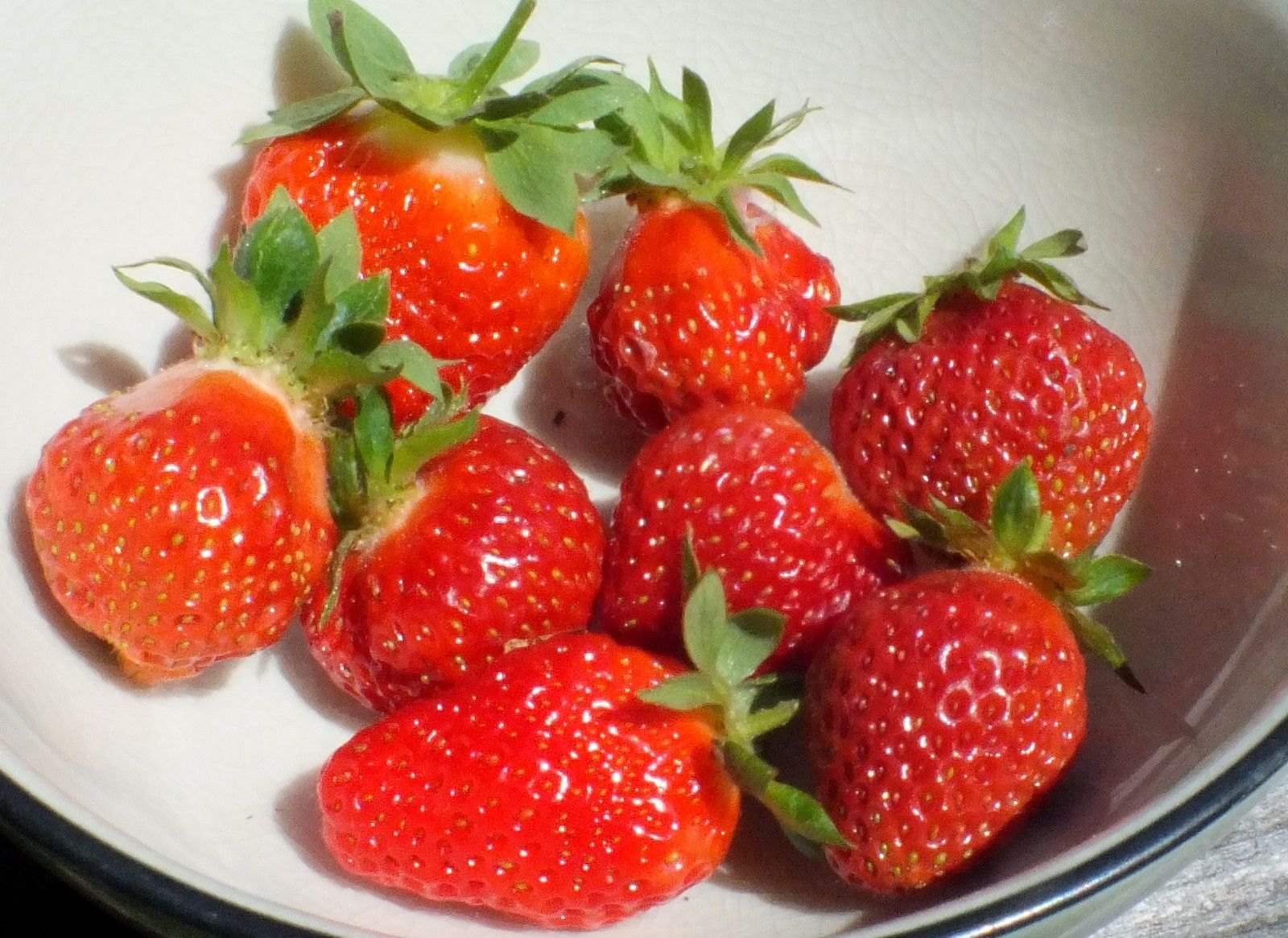 CT0353-Strawbs.jpg