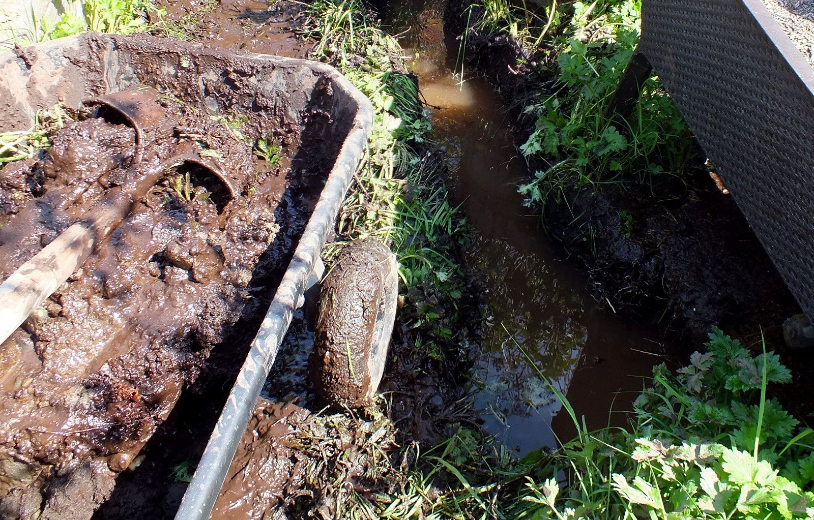 CT0354-MudPies5.jpg