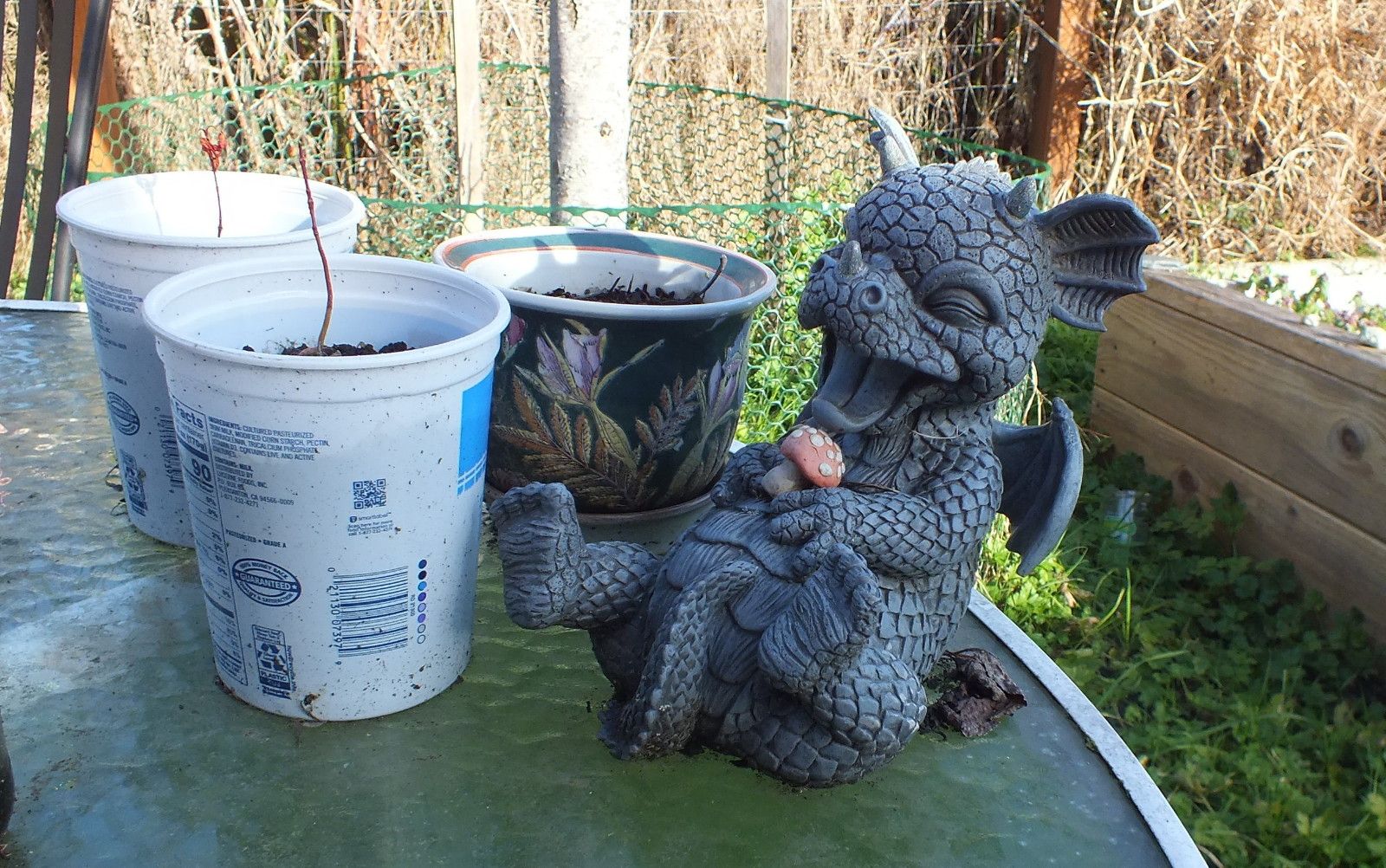 CT0350-LaughingDragon.JPG
