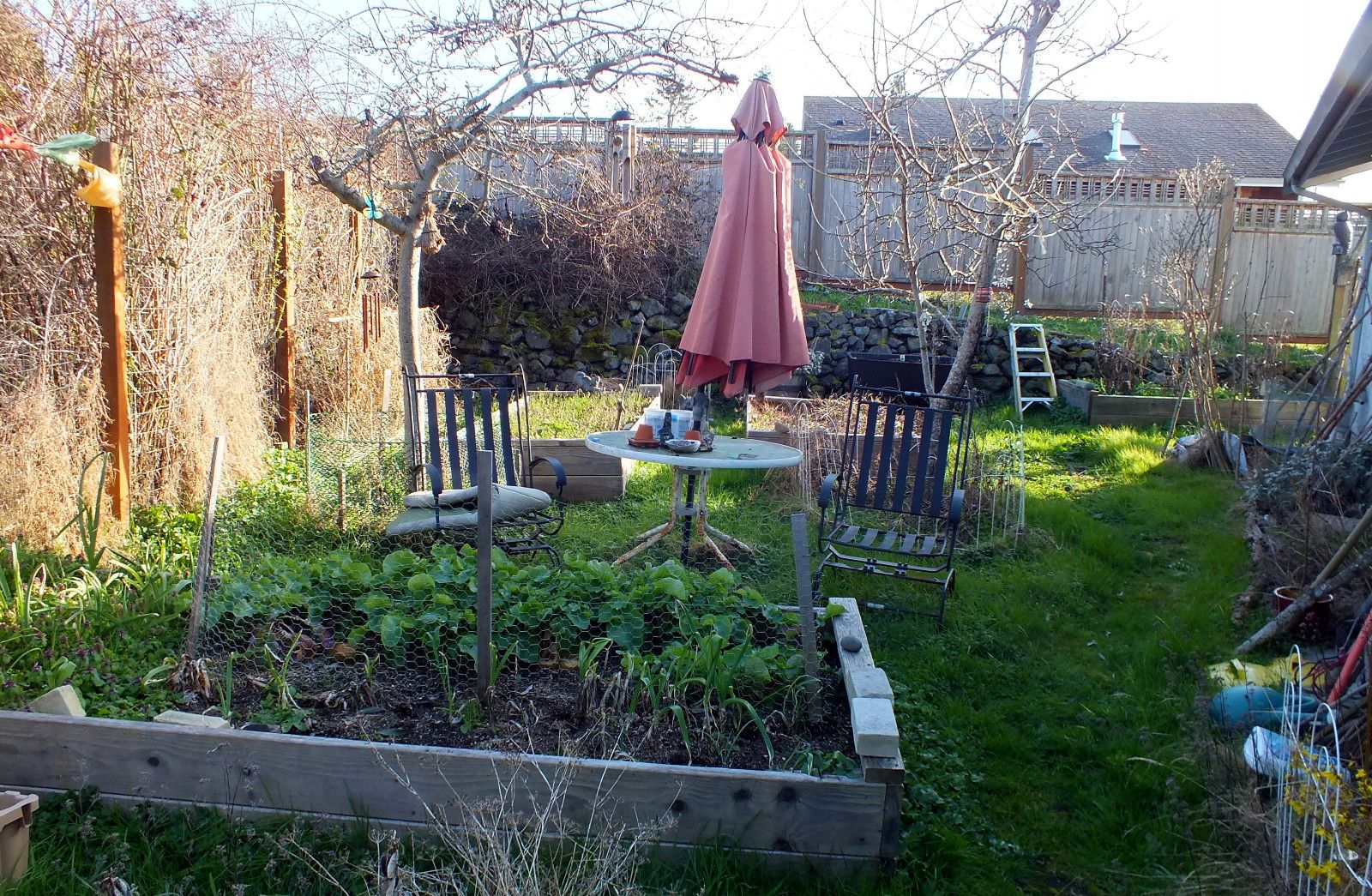 CT0350-Garden.JPG