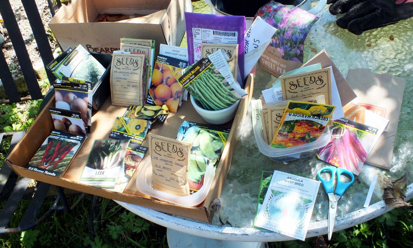 CT0353-Seeds.jpg