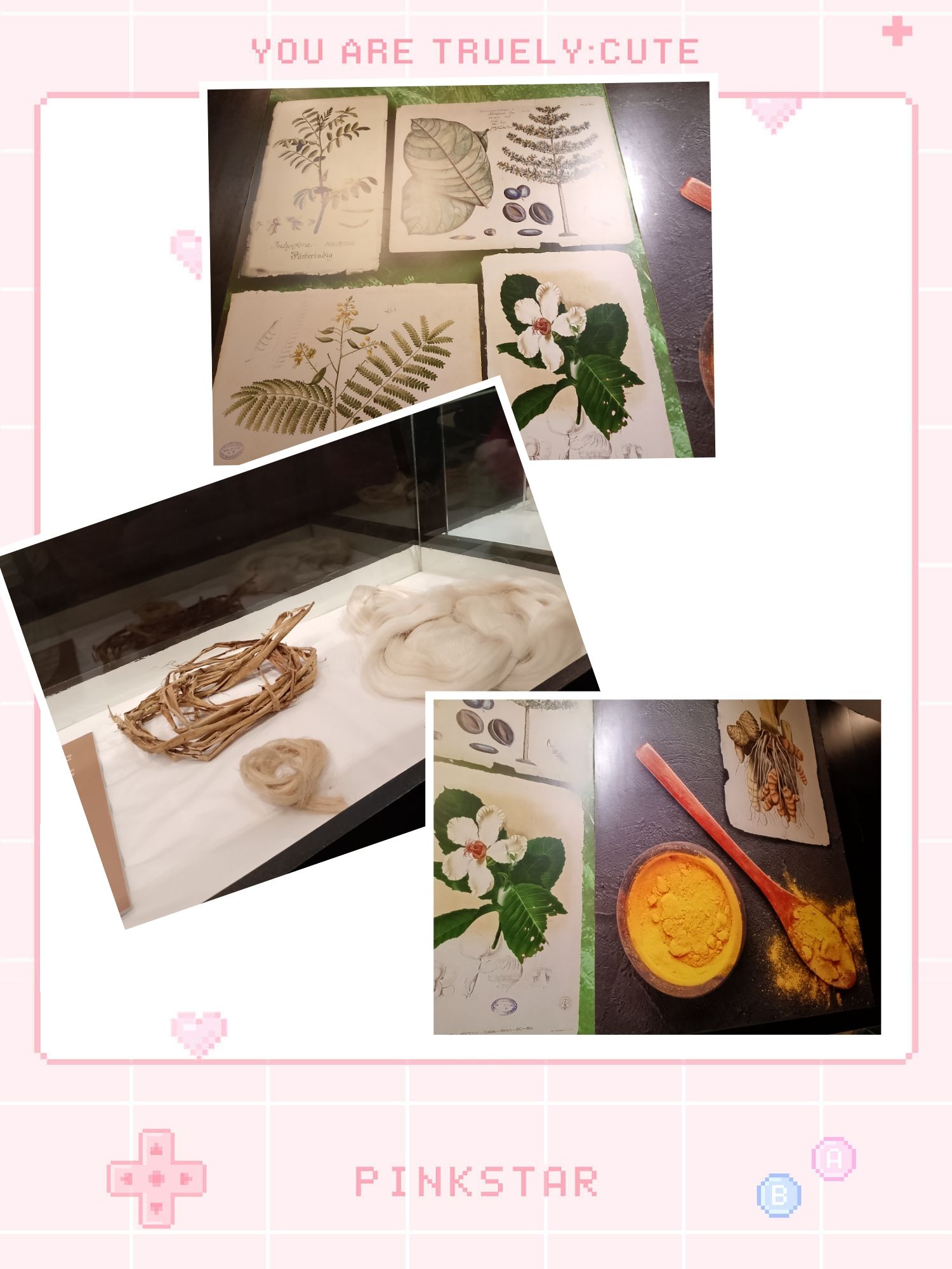 IMG_20250210_153647.jpg