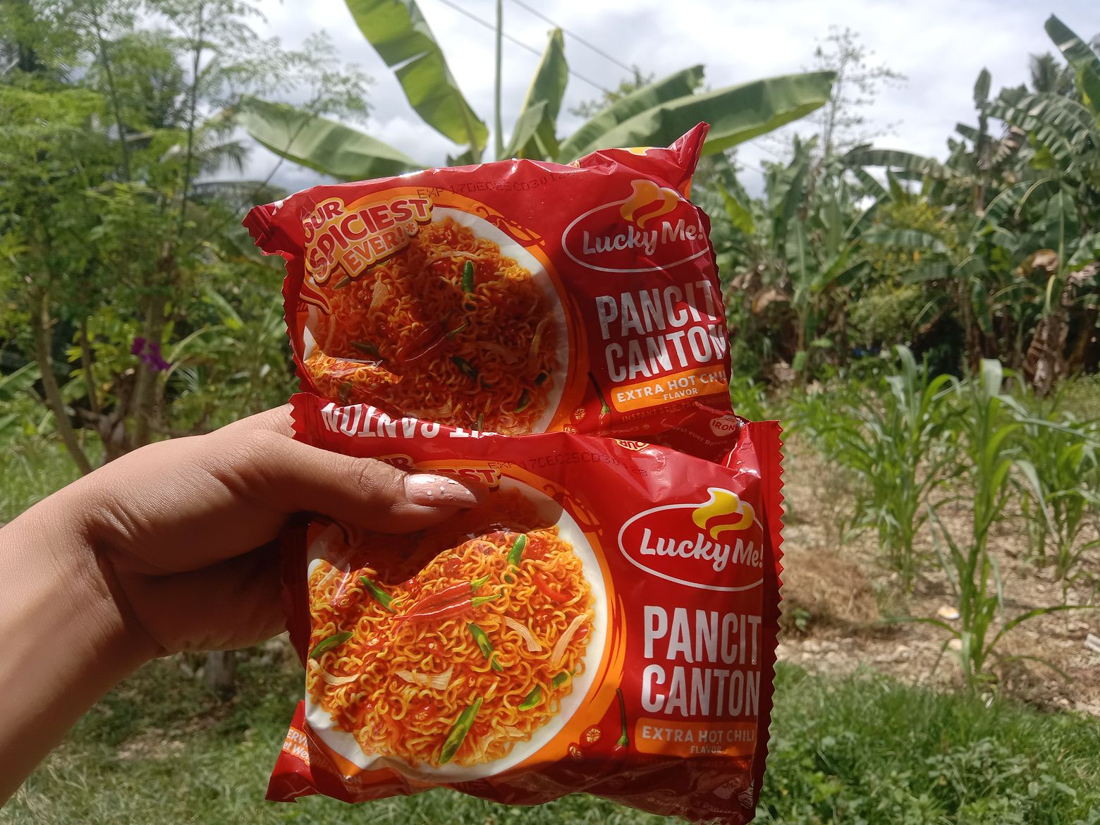 Basic Pancit Cantoon ( edition 2.0 )