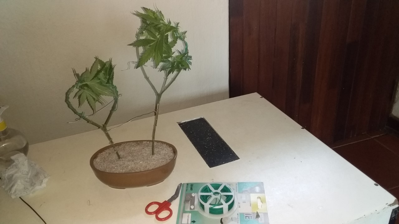 thumbnail_20200925_101432.jpg