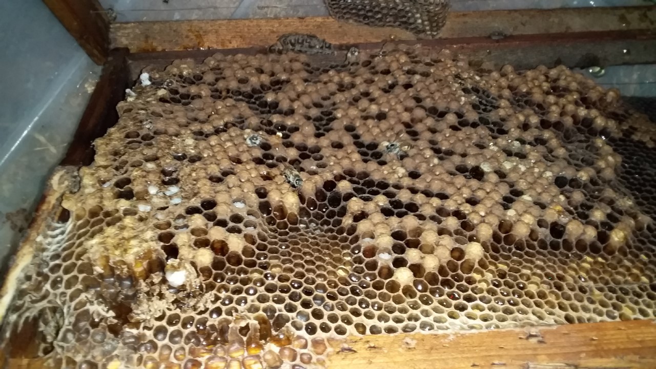 thumbnail_20200924_202507.jpg
