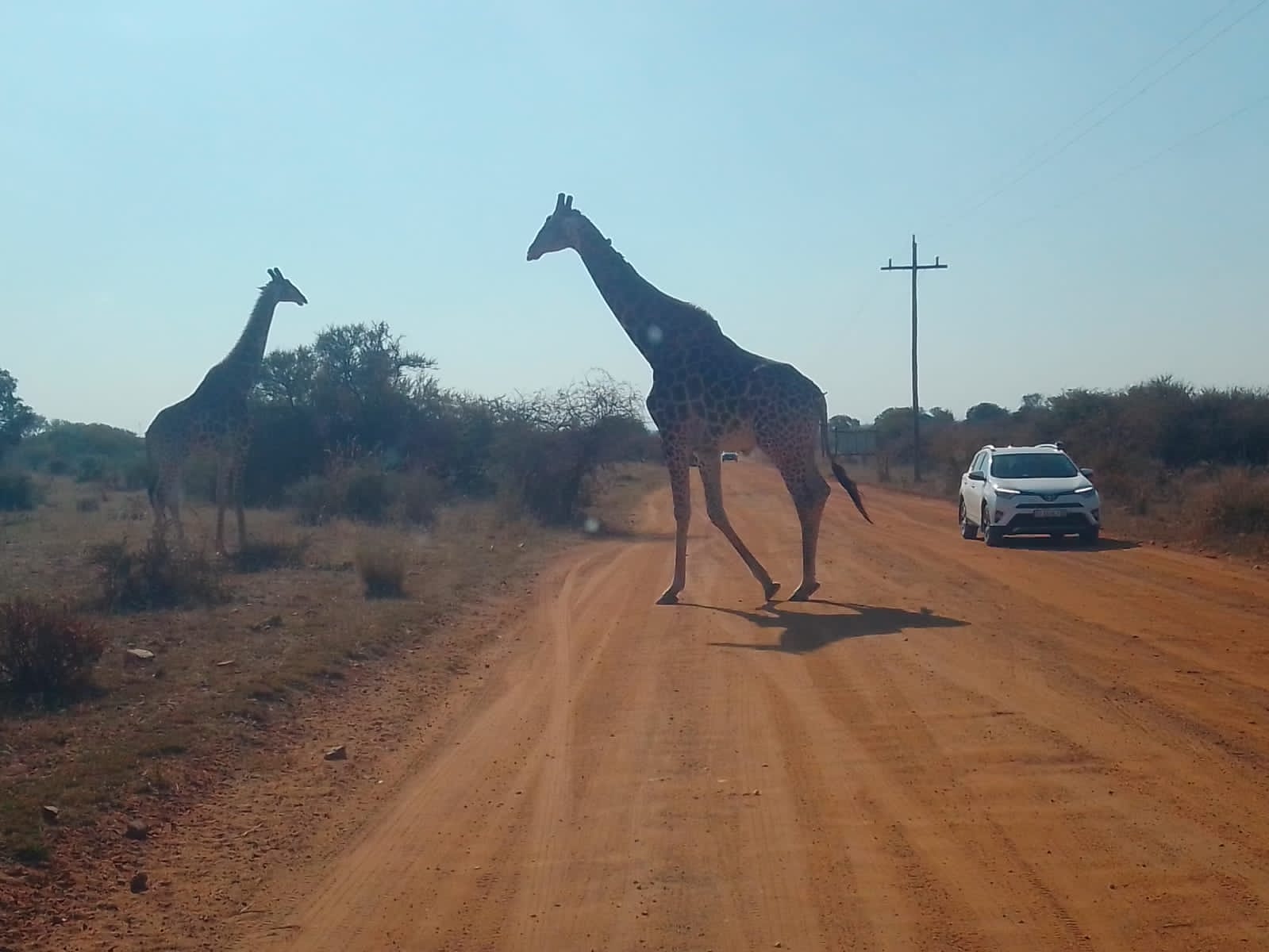 thumbnail_IMG20200607WA0023.jpg
