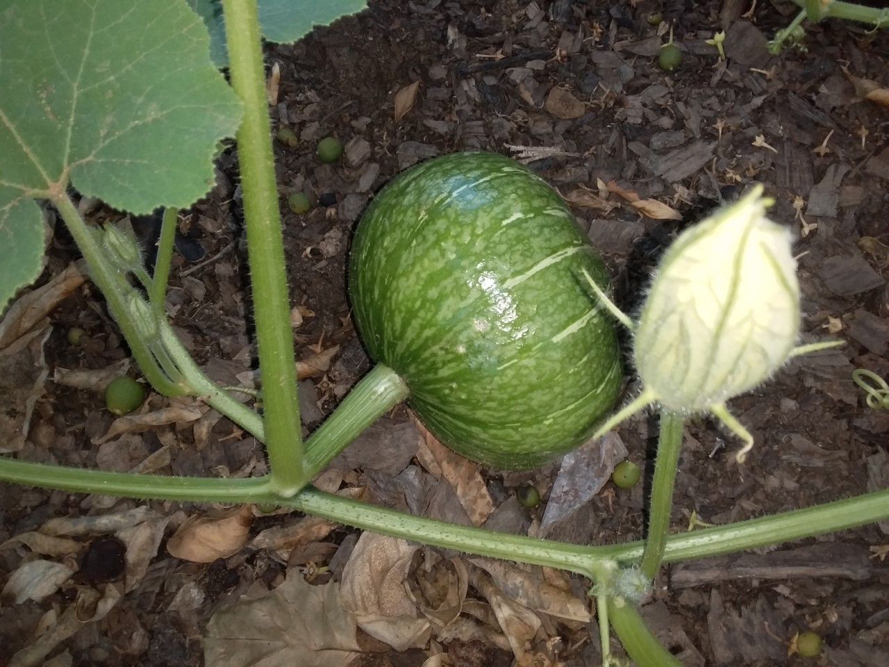 thumbnail_20201109_170510.jpg
