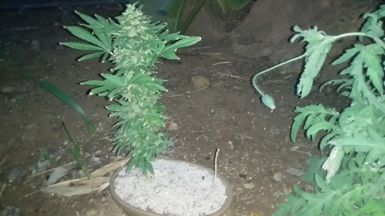 thumbnail_20201108_182721.jpg