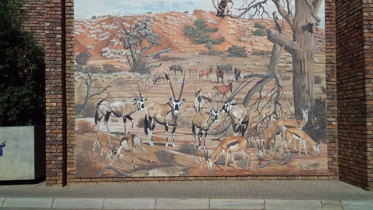 thumbnail_20200811_115108.jpg