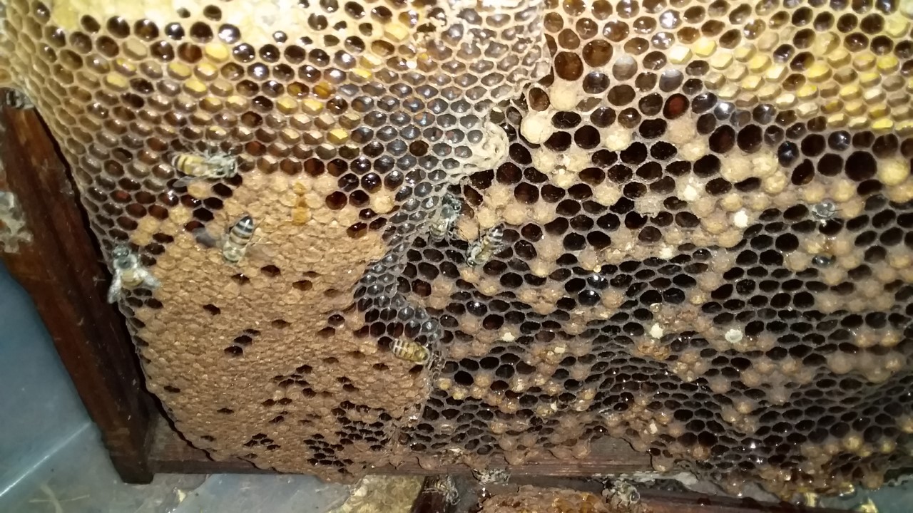 thumbnail_20200924_202514.jpg