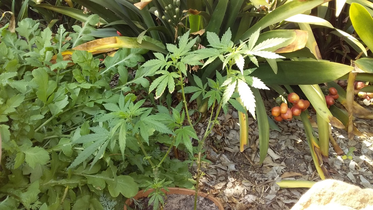 thumbnail_20200919_102549.jpg