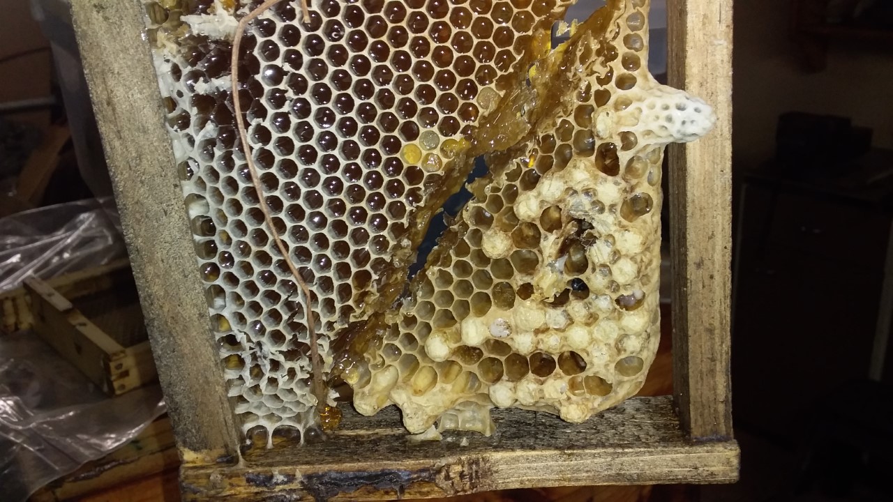 thumbnail_20200921_101845.jpg
