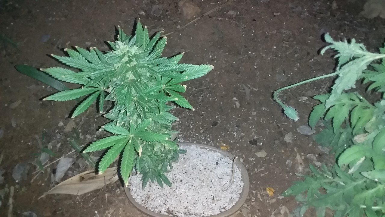 thumbnail_20201108_182712.jpg