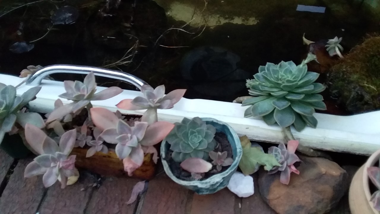 thumbnail_20200823_174249.jpg