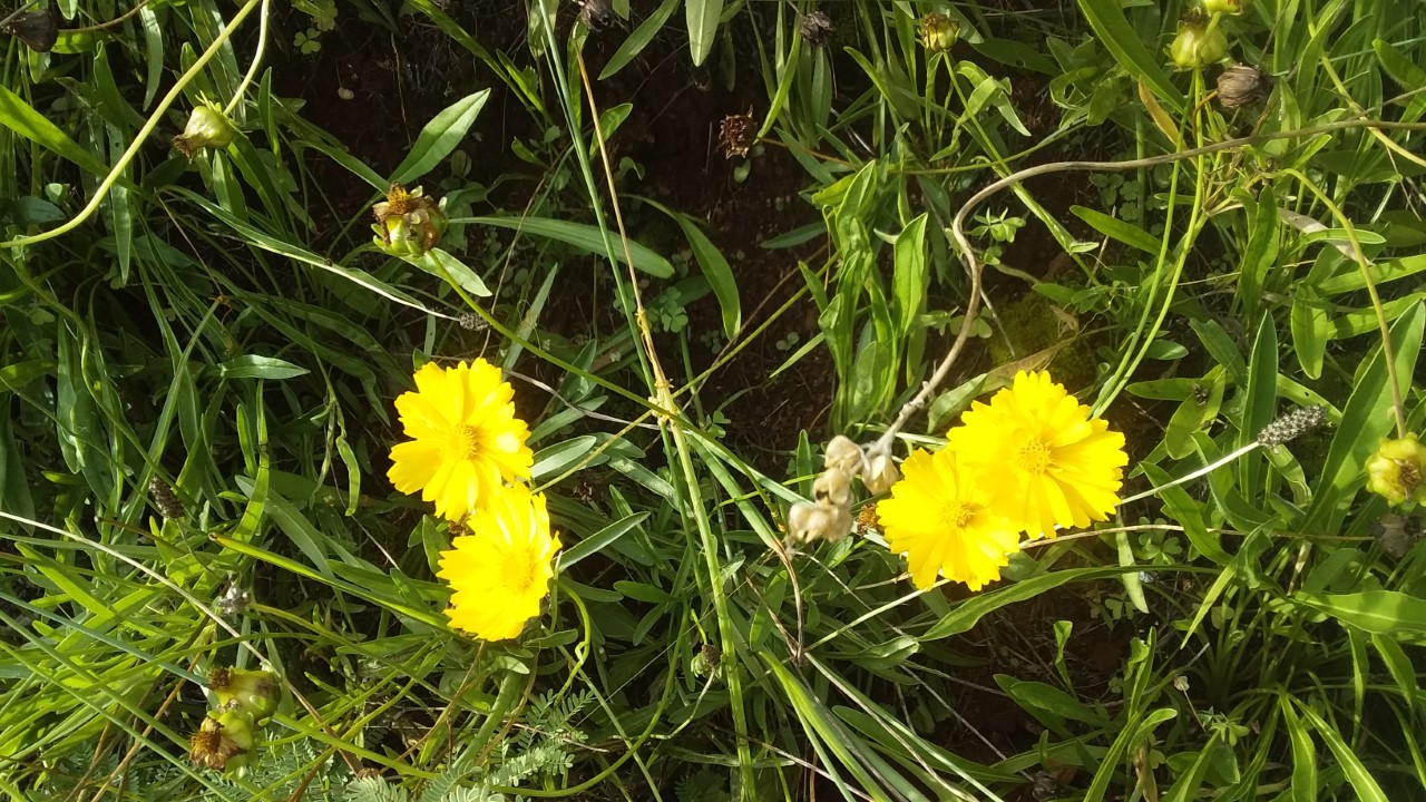 thumbnail_20210107_171601.jpg