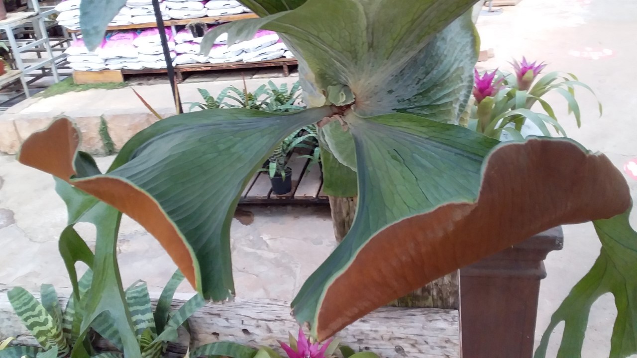 thumbnail_20200723_144415.jpg