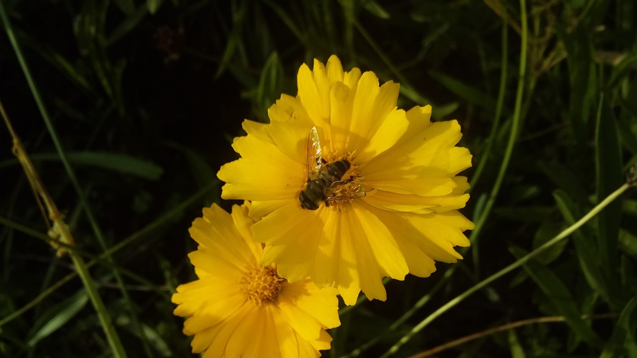 thumbnail_20210107_171552.jpg
