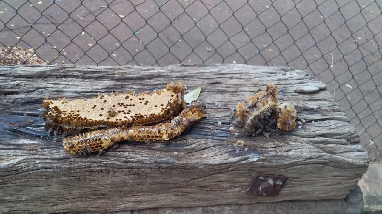 thumbnail_20201011_100442.jpg