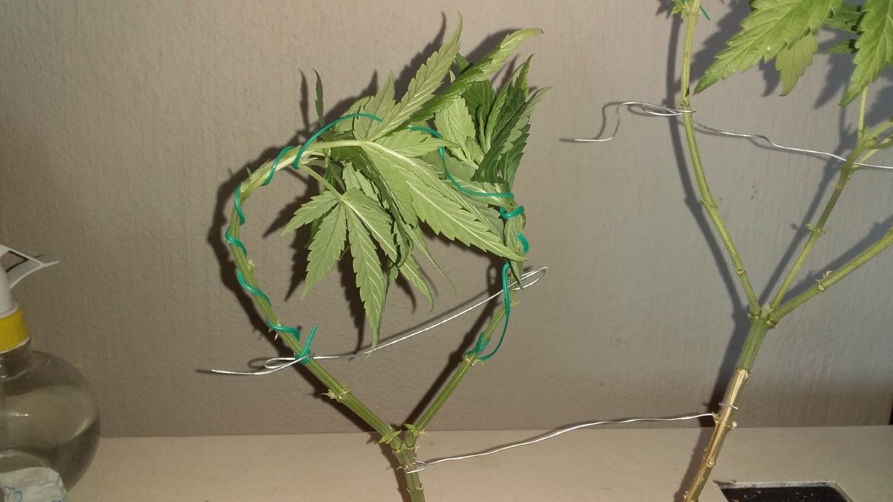 thumbnail_20200925_101423.jpg
