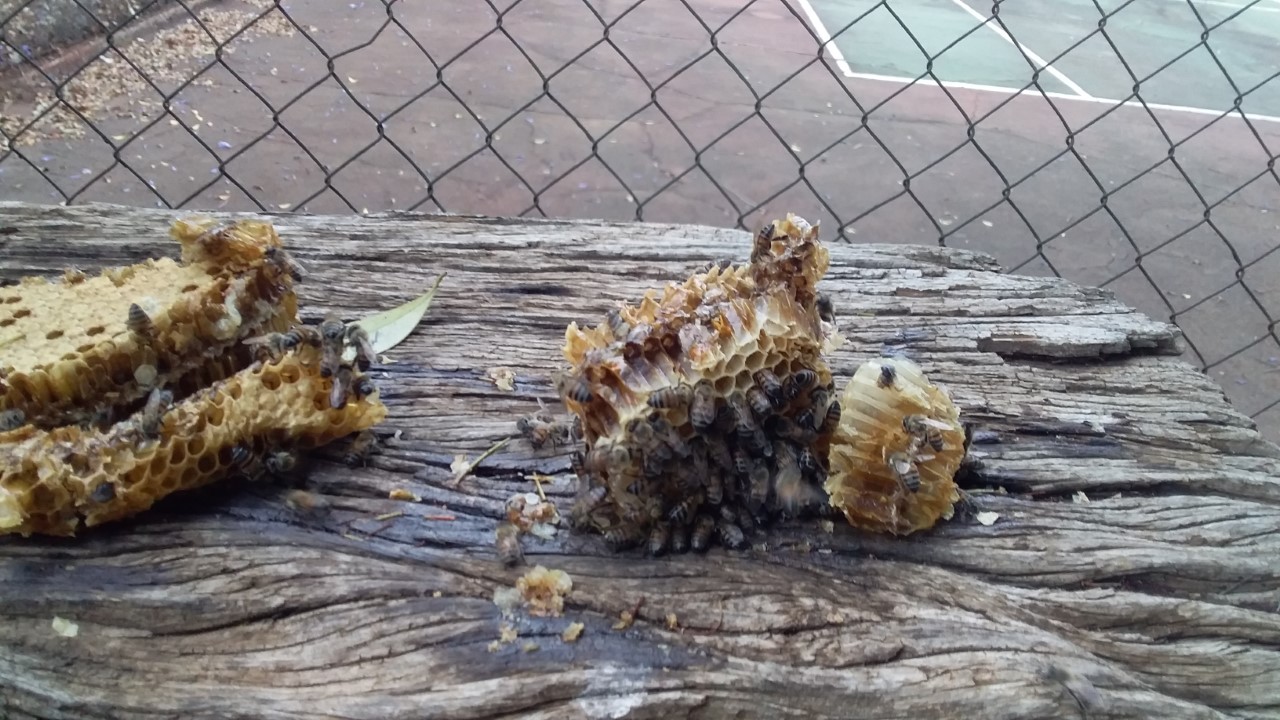 thumbnail_20201011_100438.jpg