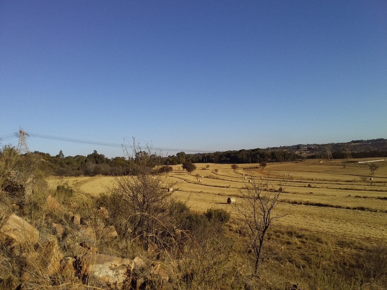 thumbnail_20200810_161719.jpg