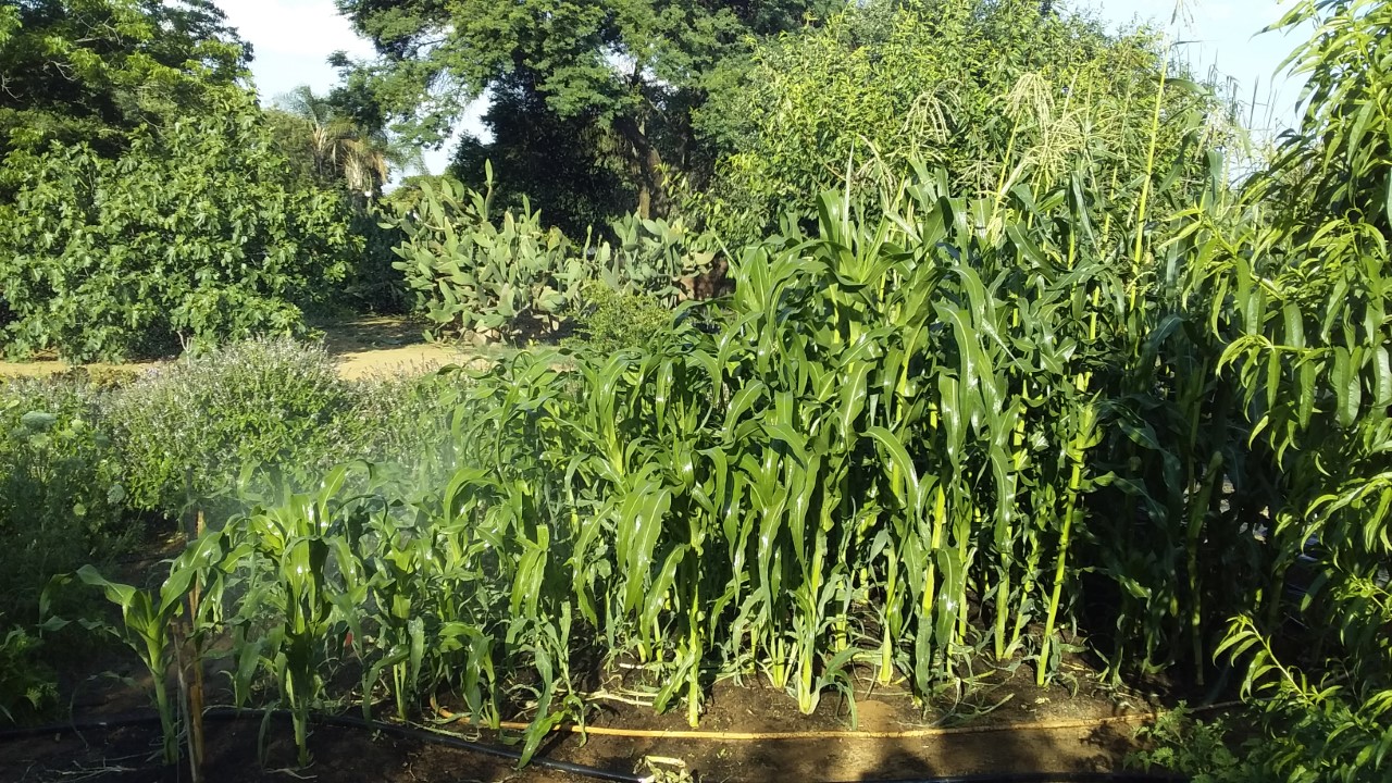thumbnail_20201116_164016.jpg