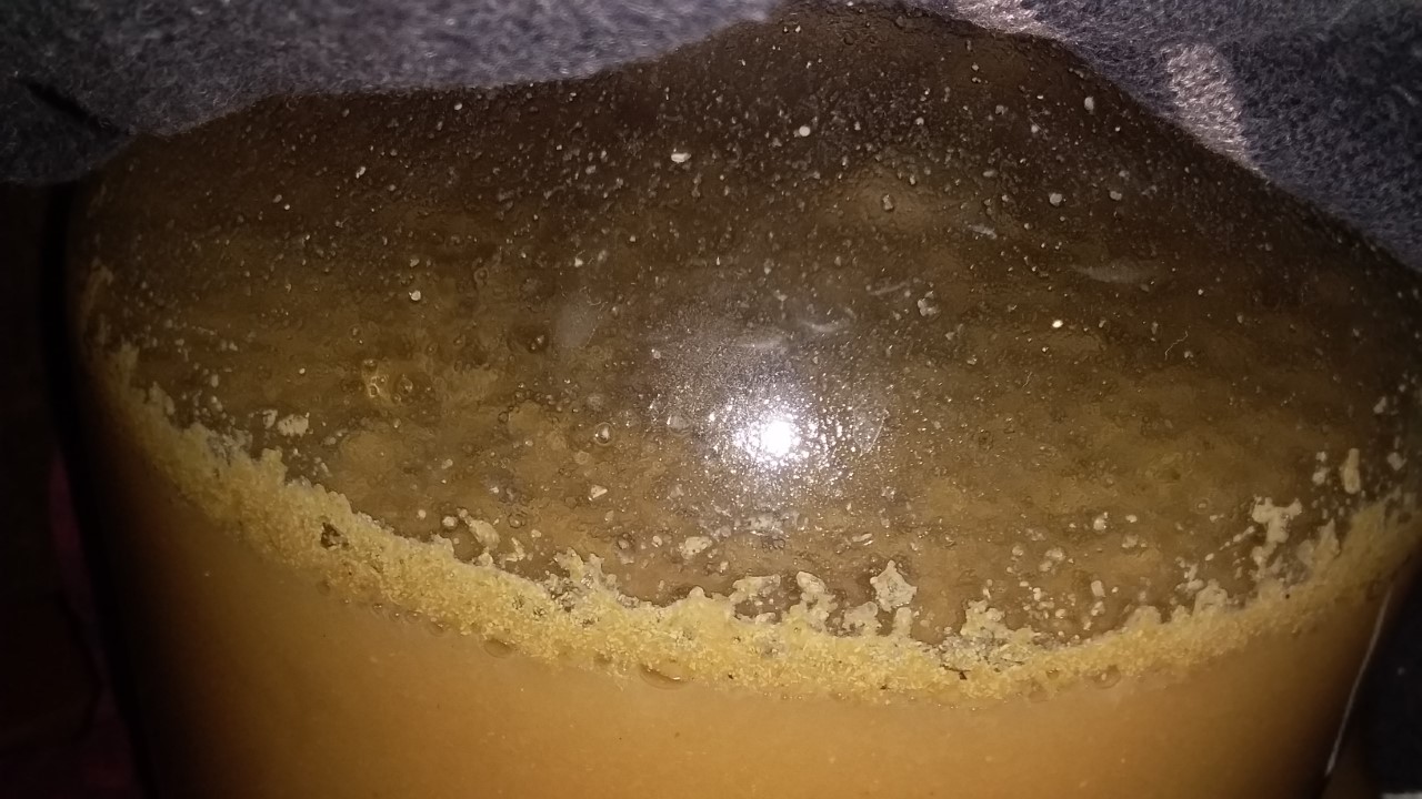 thumbnail_20210102_205321.jpg