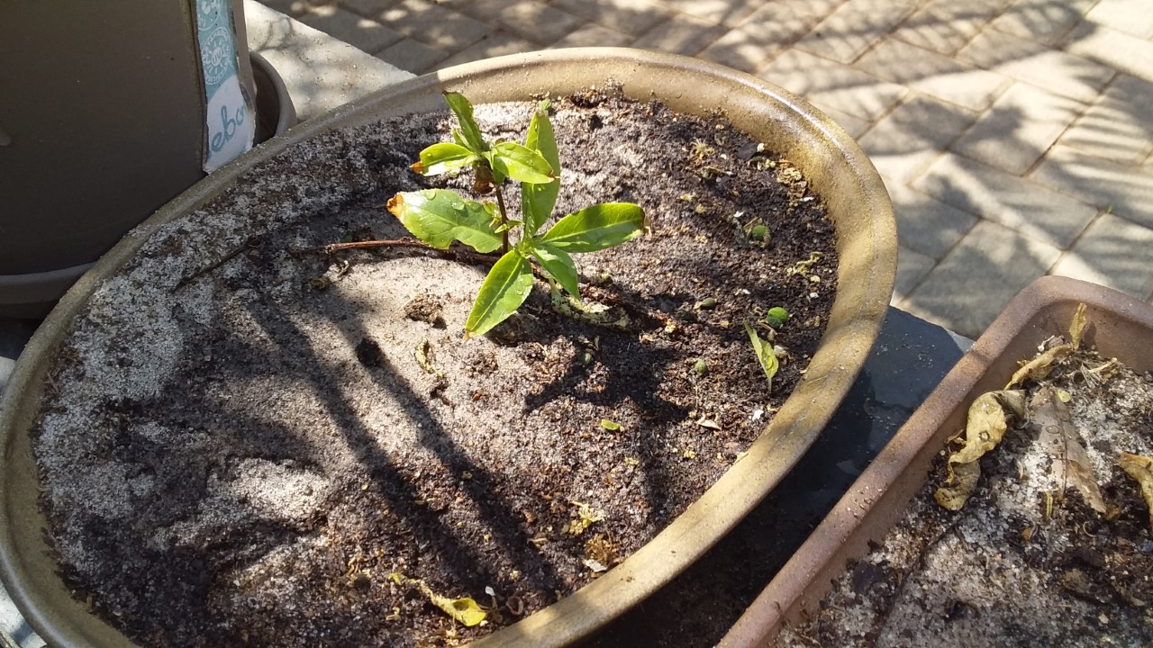 thumbnail_20200919_102815.jpg
