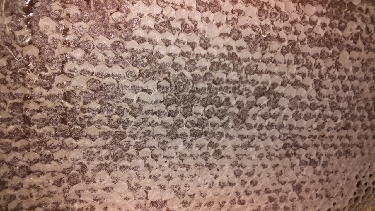thumbnail_20200921_102041.jpg
