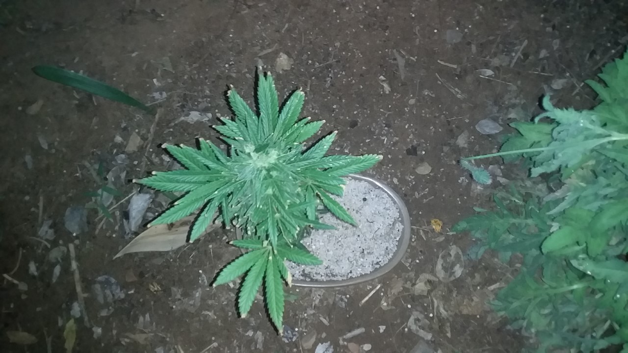 thumbnail_20201108_182725.jpg