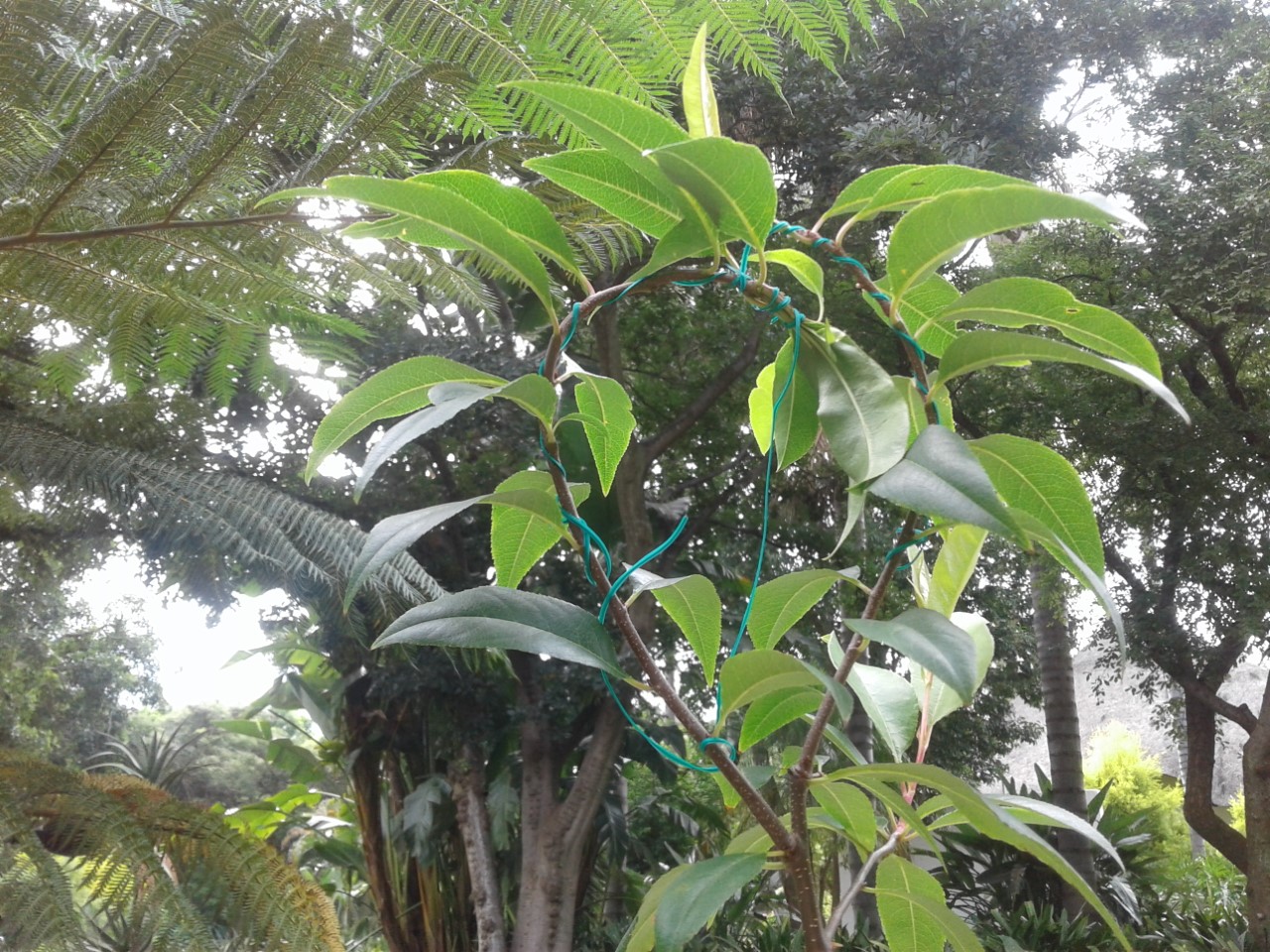 thumbnail_20210118_083119.jpg