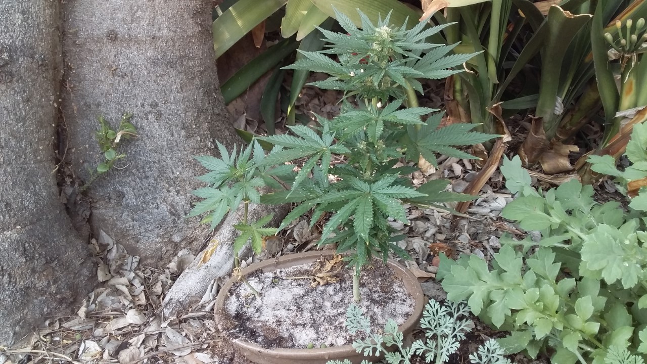 thumbnail_20200919_102555.jpg