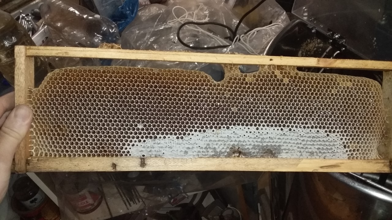 thumbnail_20200921_101550.jpg