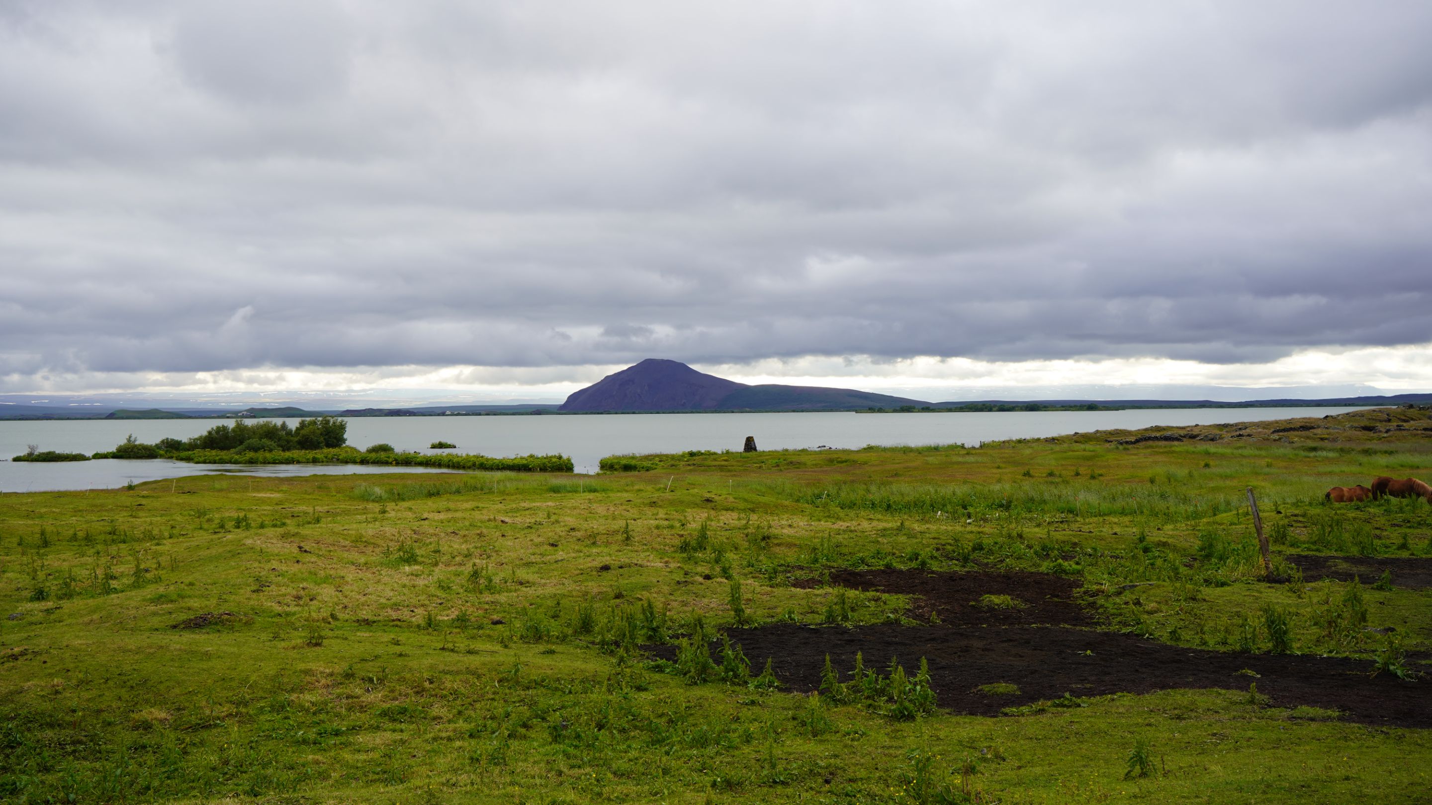 DSC07809.JPG