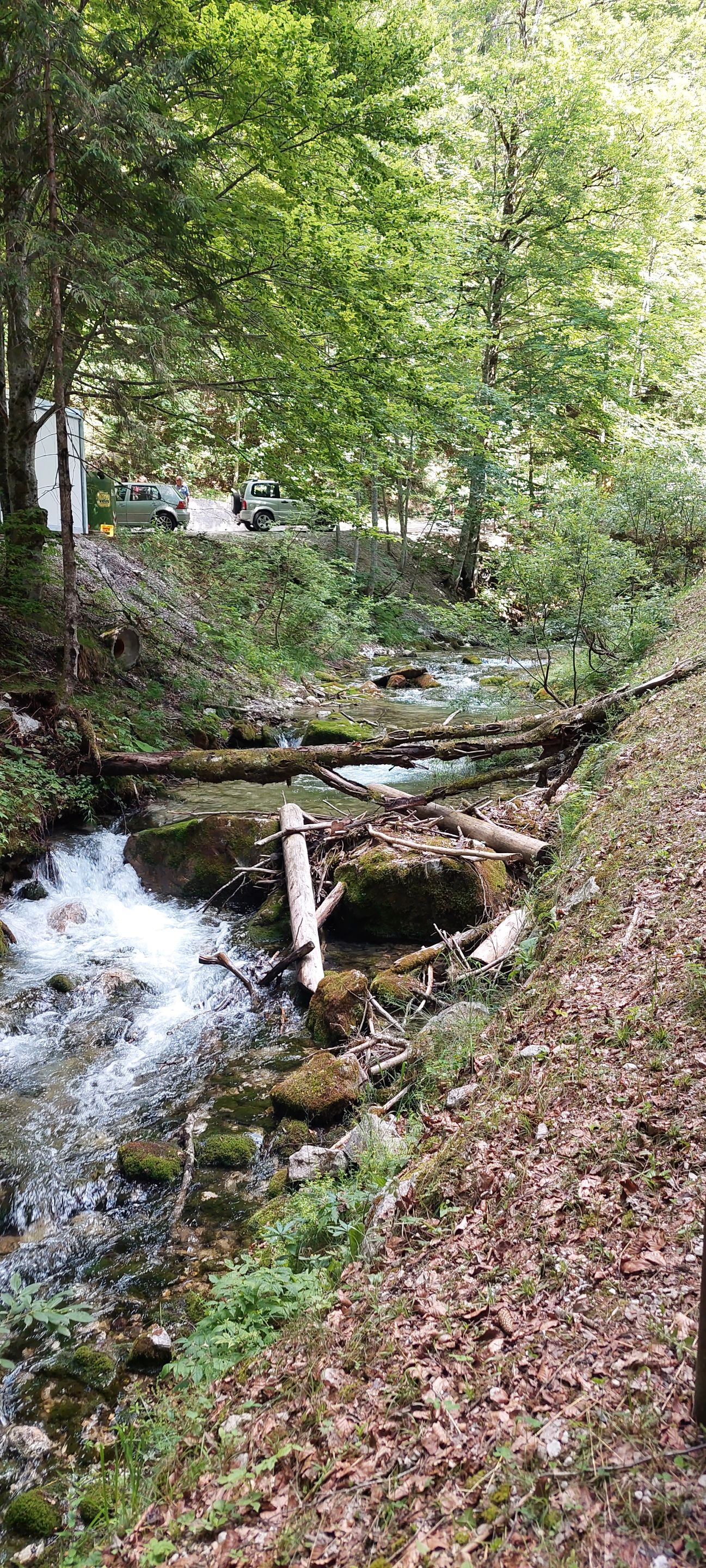 20220625_163506.jpg