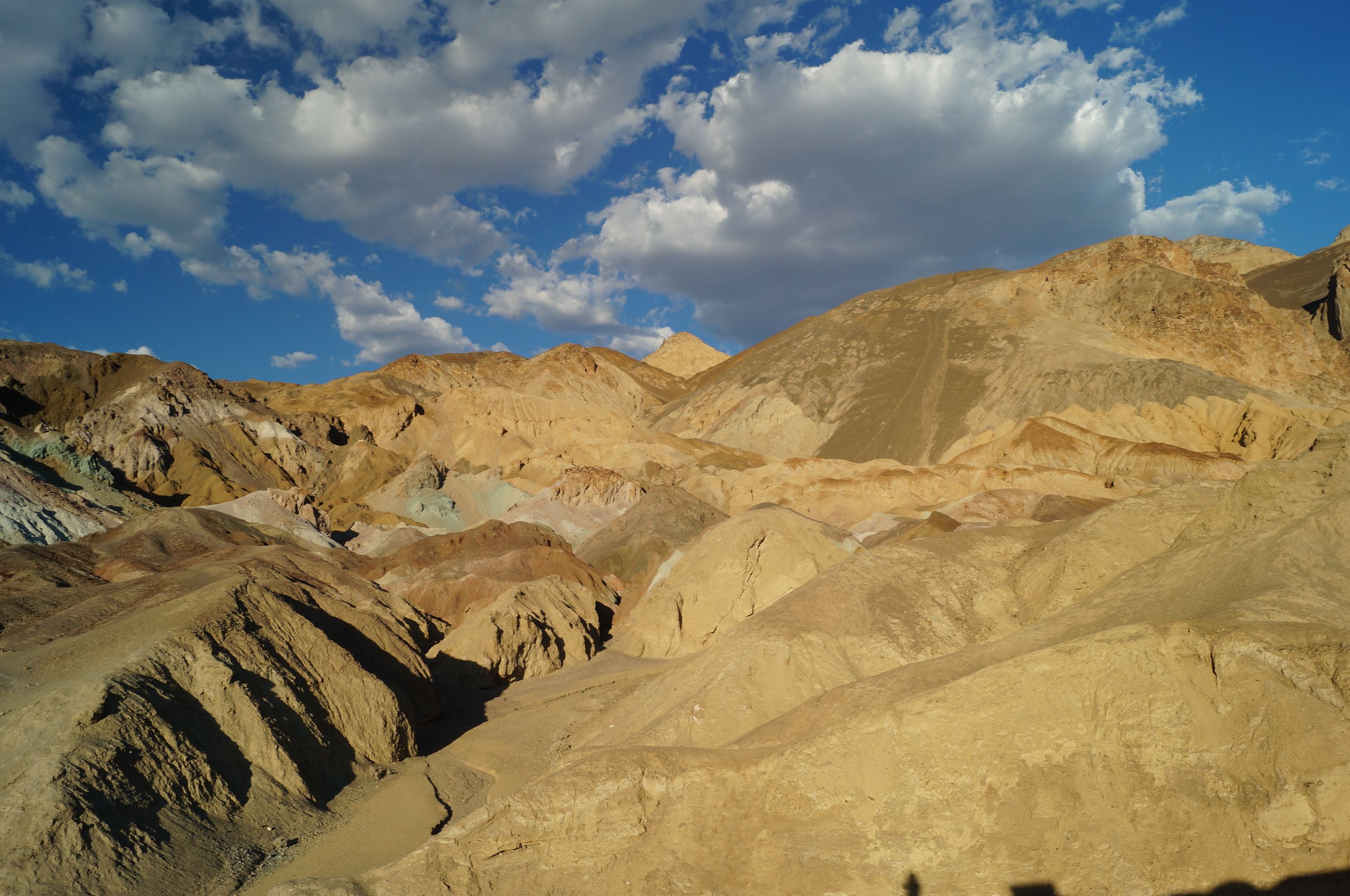 DSC08014.JPG
