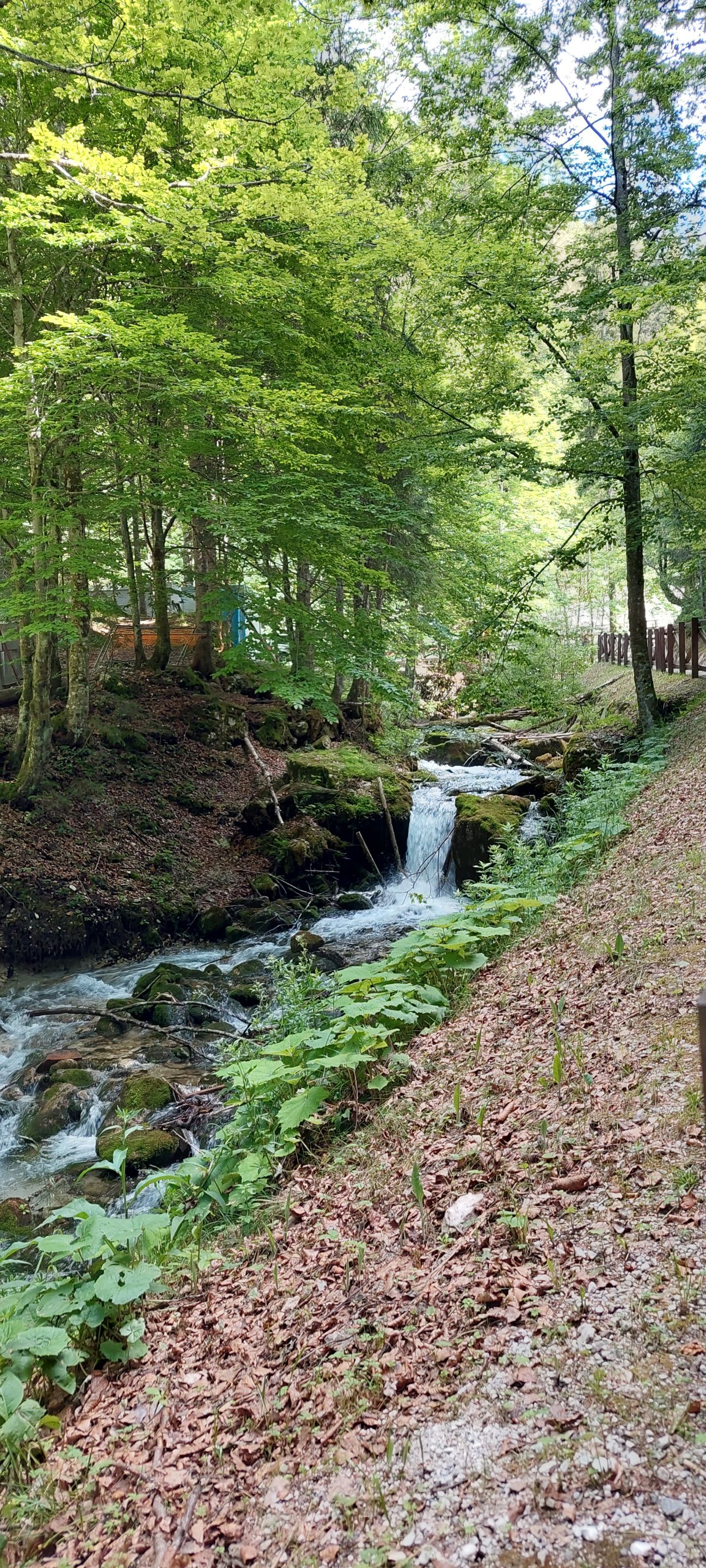 20220625_163426.jpg