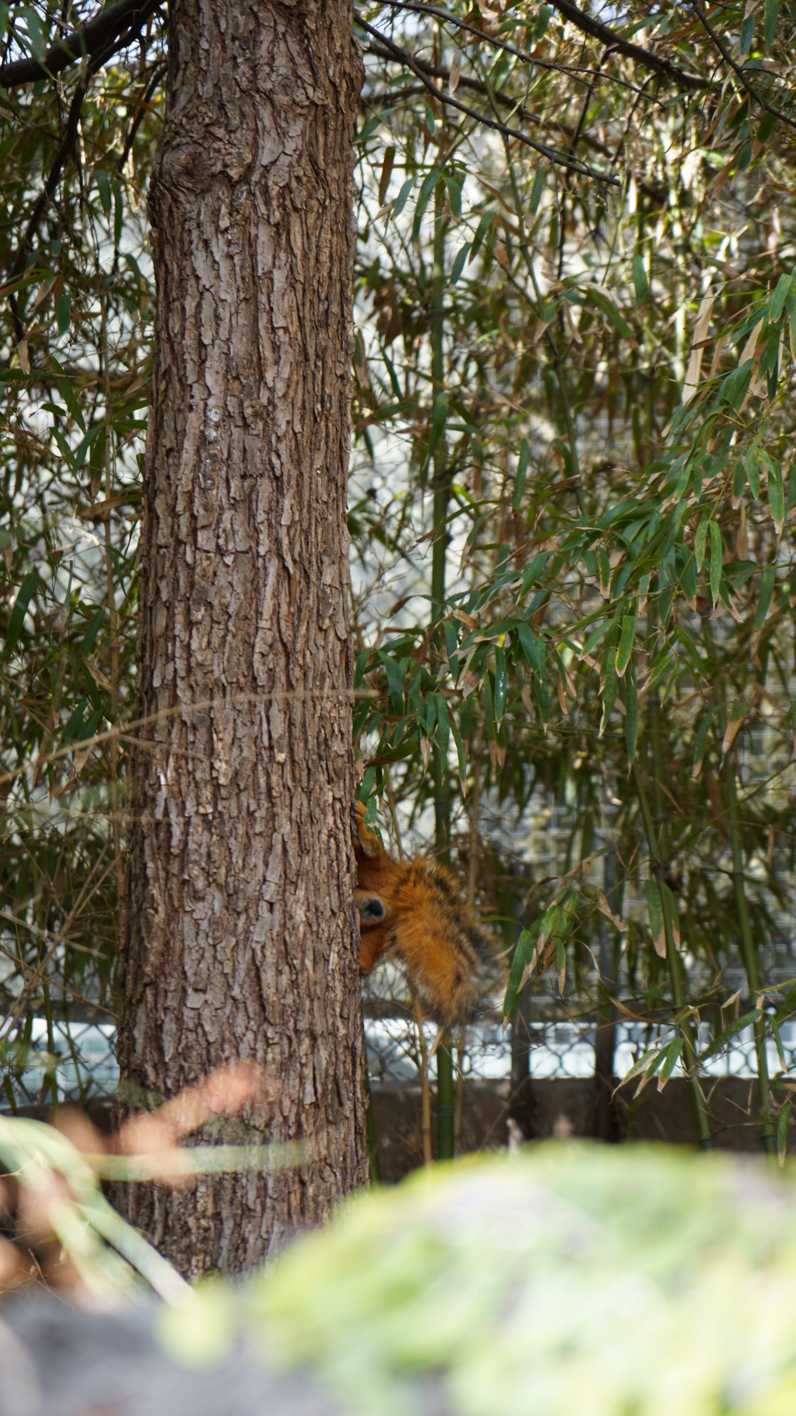 DSC05688.JPG