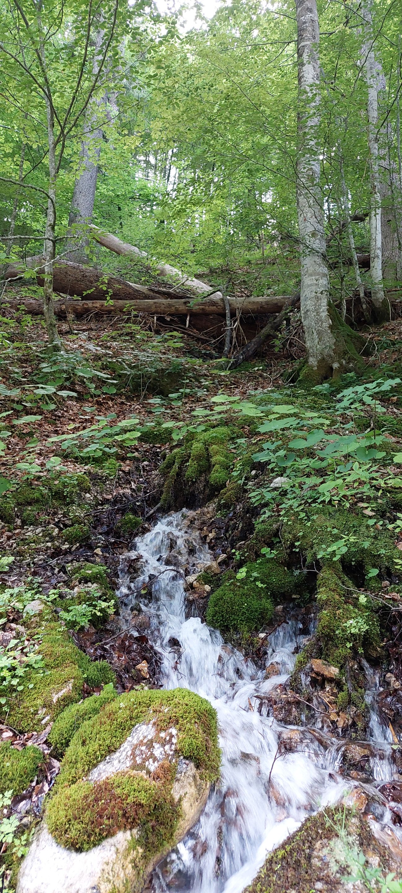 20220625_162745.jpg