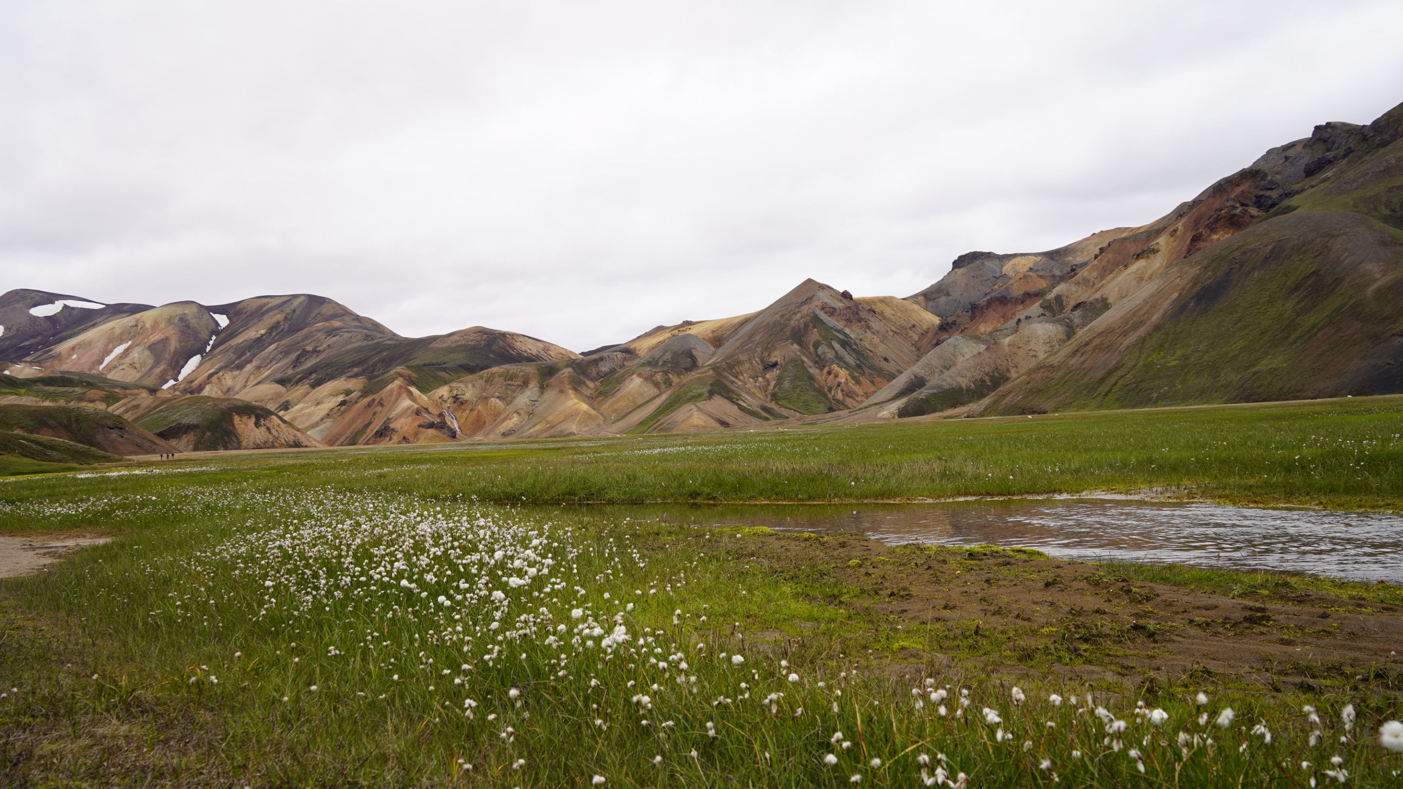 DSC06975.JPG