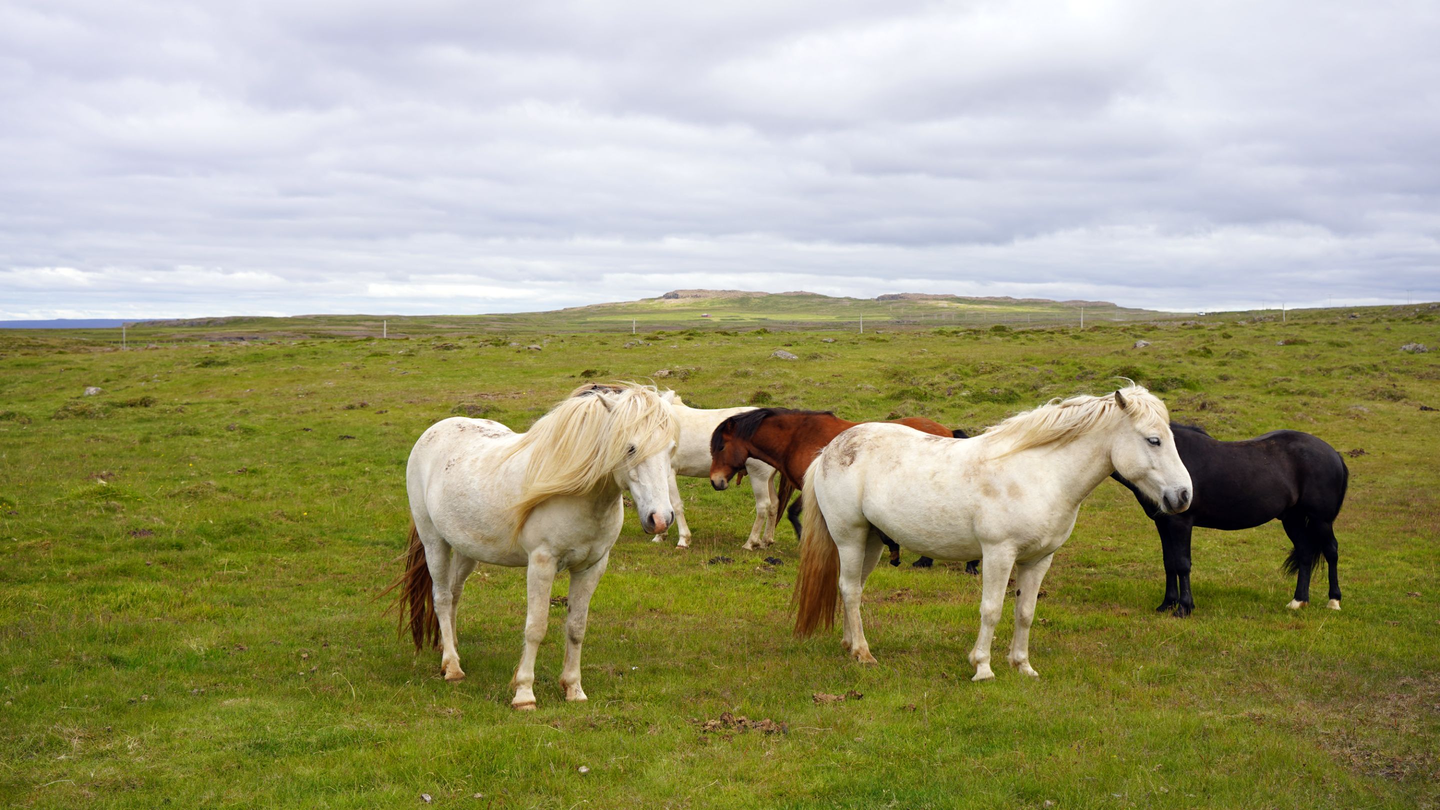 DSC08222u.jpg