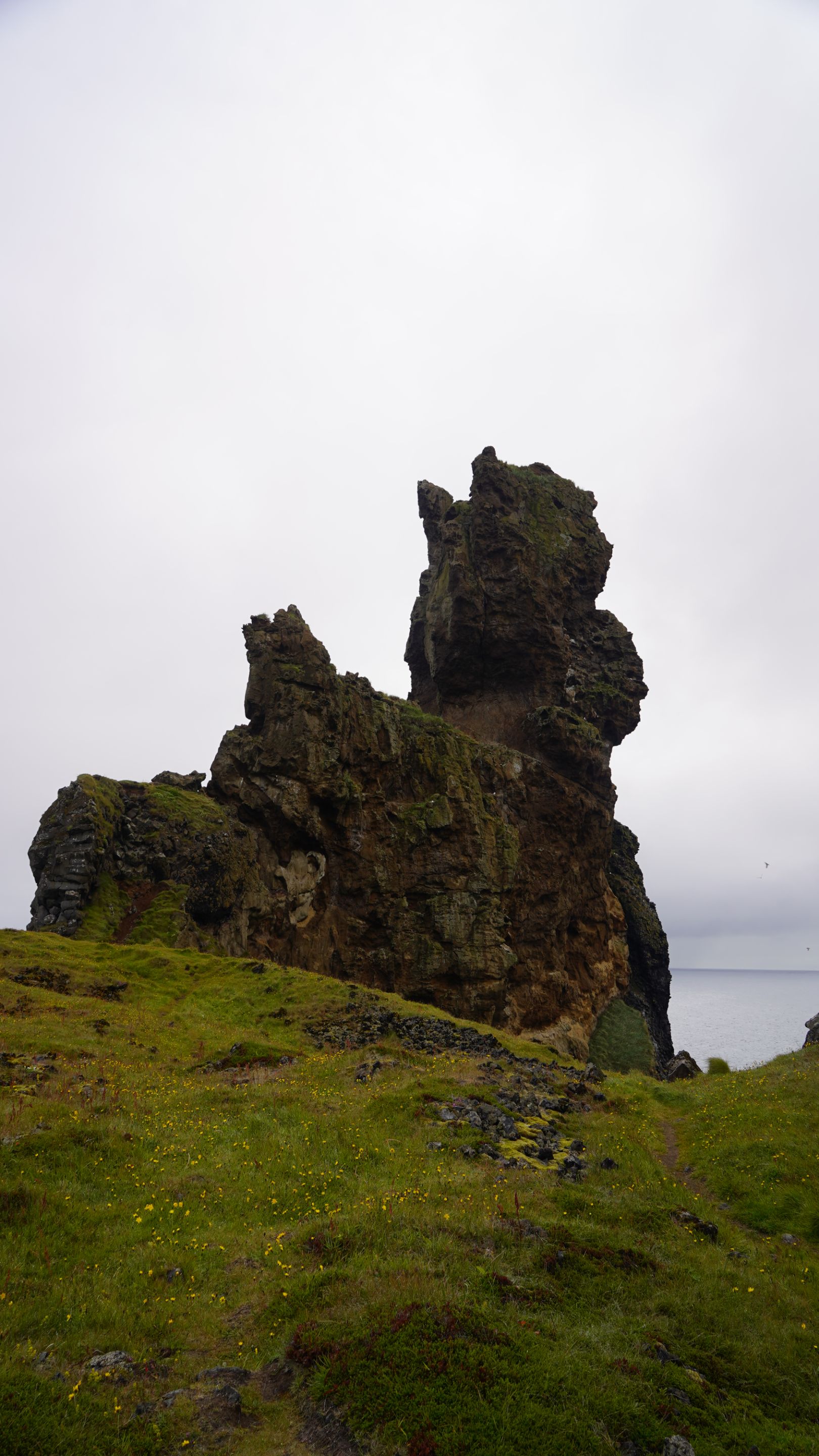 DSC08501.JPG